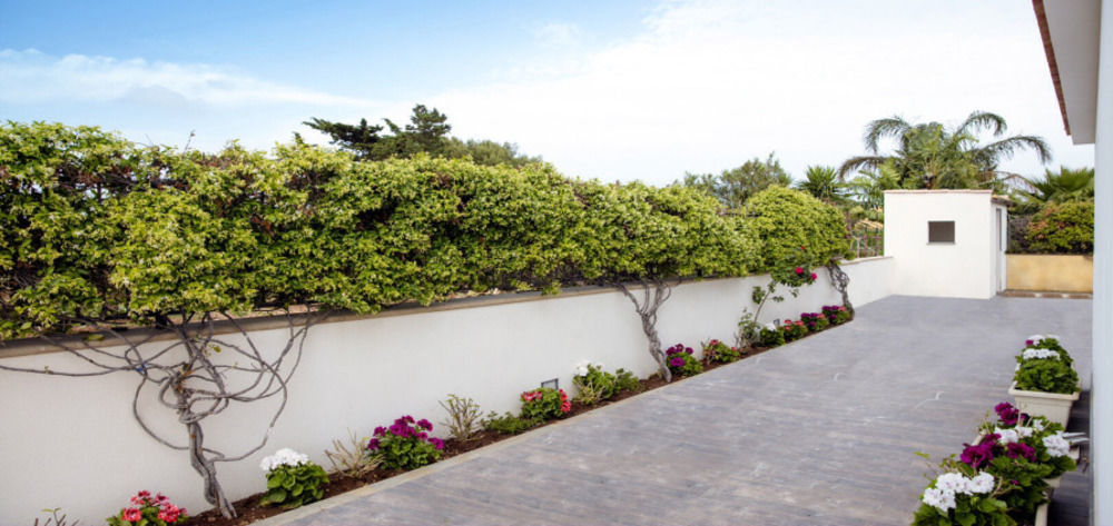 Monte Monaco B&B San Vito Lo Capo Exterior foto